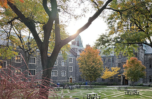 Fall in the Trinity Quad