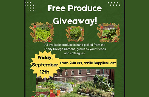 Food Systems Lab produce giveway: Sept. 12, 2025