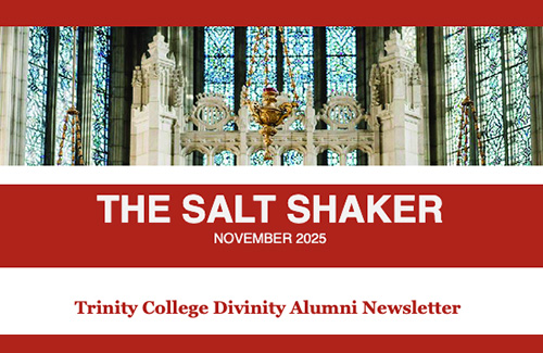 The Salt Shaker - Divinity Newsletter - November 2025