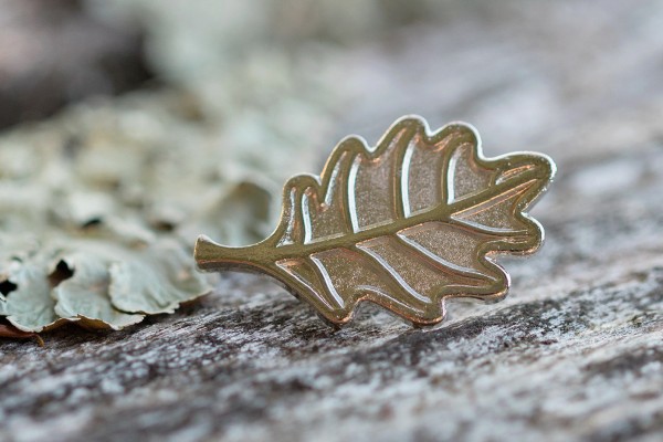 U of T Arbor Award pin