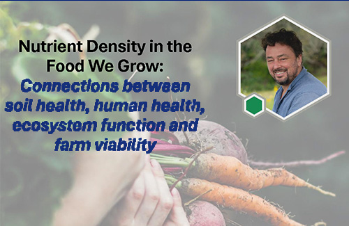 hand holding freshly picked root vegetables