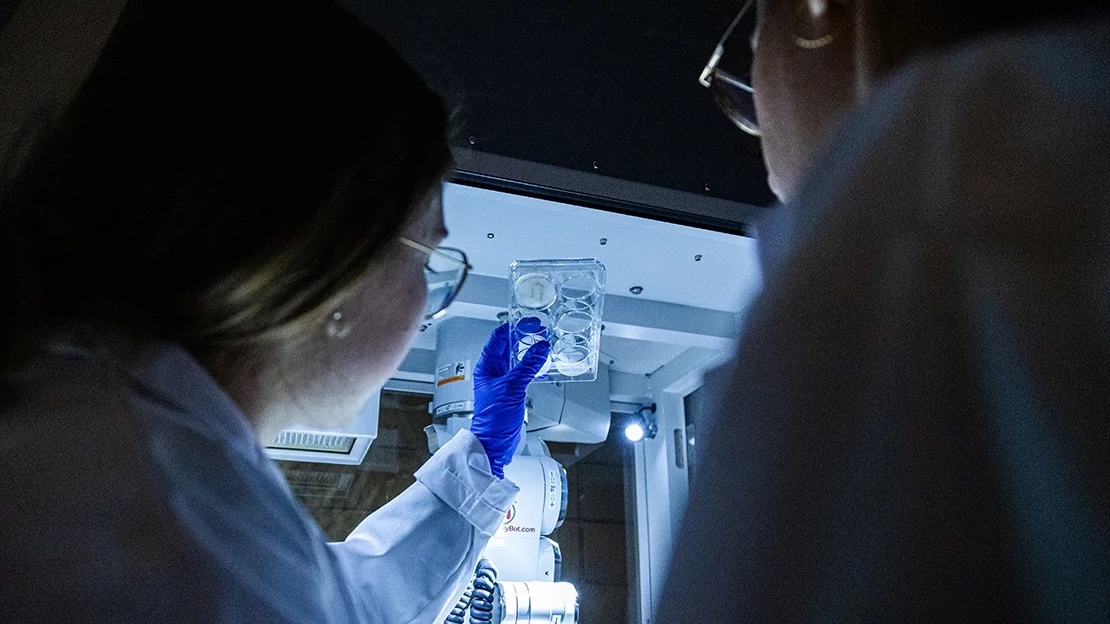U of T scientists look at samples in the laboratory