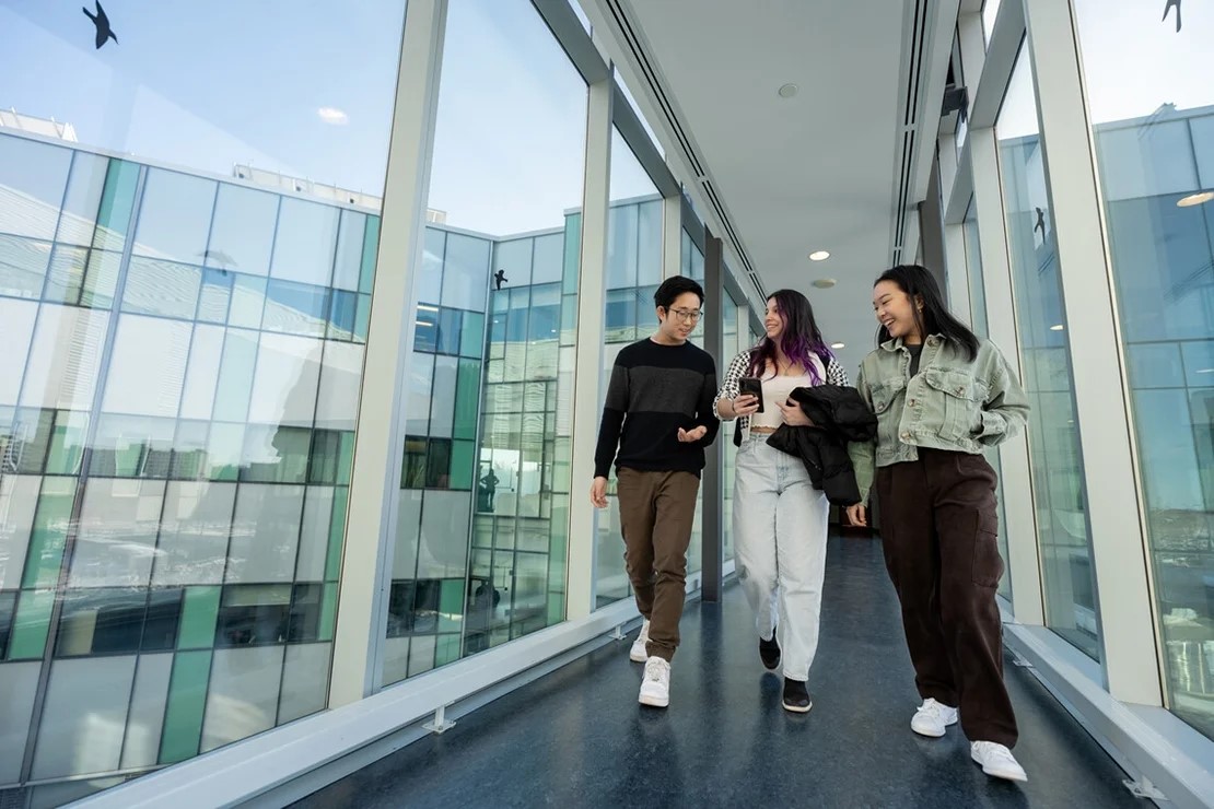 UofT web lead instructional centre for U of T rankings report