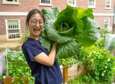 just-harvested cabbage from the garden at Trinity College’s St. Hilda’s College