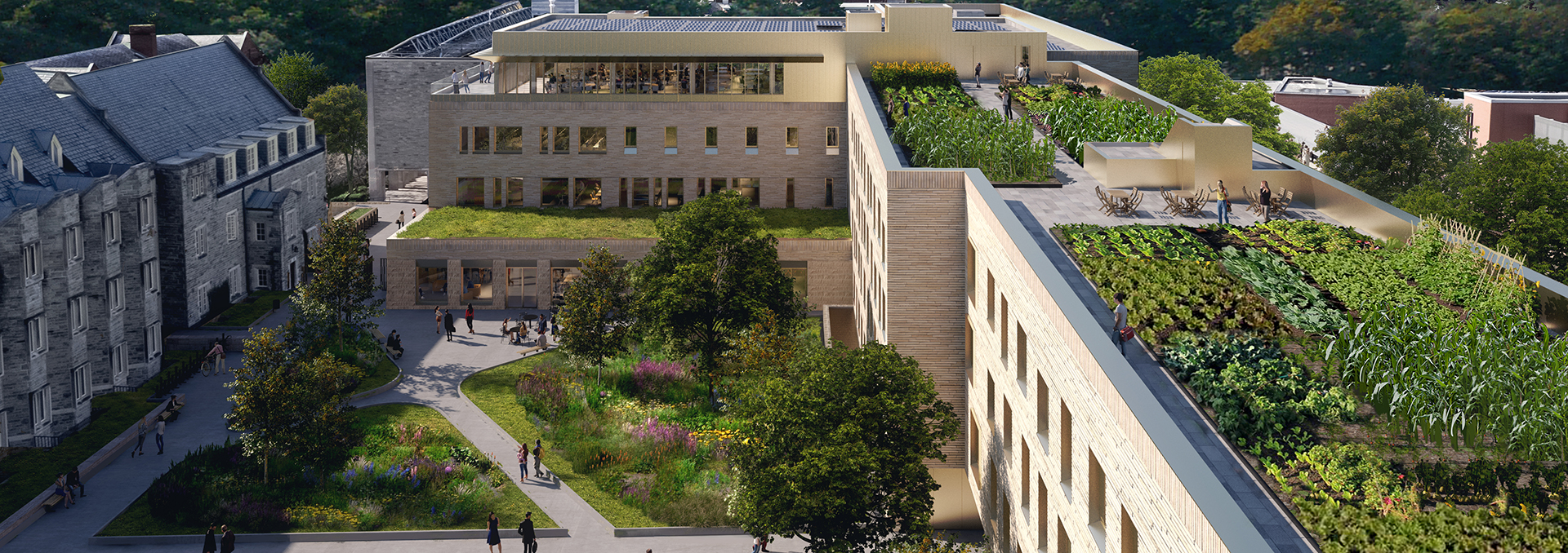 Render of the Lawson Centre for Sustainability with the rooftop garden
