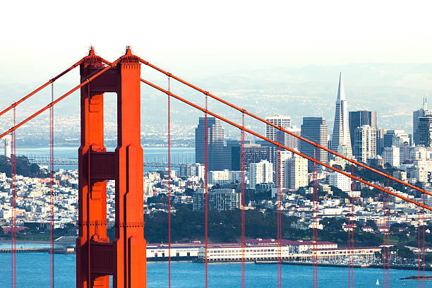 San Fransisco Skyline