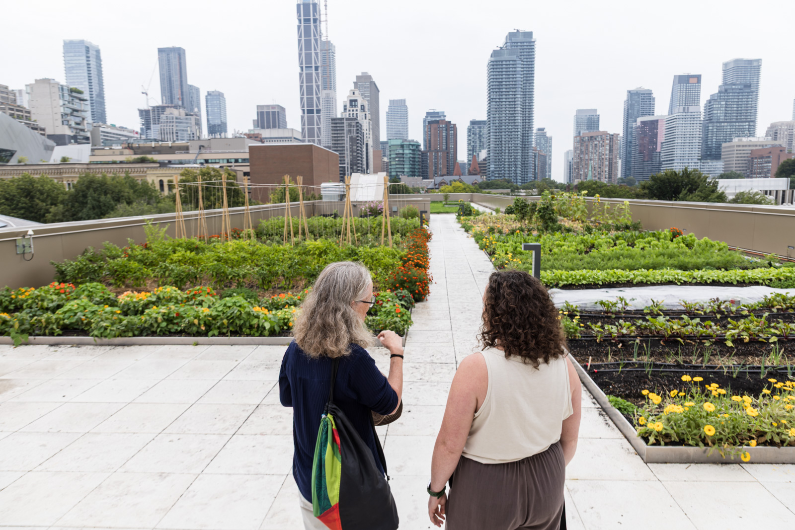 Lawson Centre for Sustainability Welcome Celebration: Sep. 9, 2026 - rooftop farm